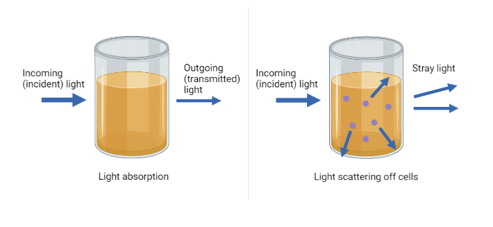 Optical Density Normalization And Growth Rates Pioreactor Docs